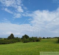 A blooming meadow with hilly landscape and blue sky in Hrušov.