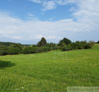 Green meadow with flowers, sky with clouds, forests around Hrušov near the cottage.