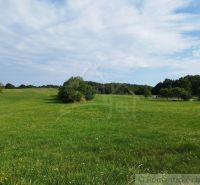 A meadow near the cottage in Hrušov with trees and a white house on the edge.
