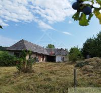 A cottage in Hrušov with an old roof surrounded by a green garden.