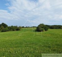 A green meadow with scattered bushes around Hrušov.