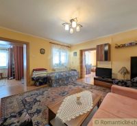Living room in a family house with a carpet, sofa, and wooden decor furniture.