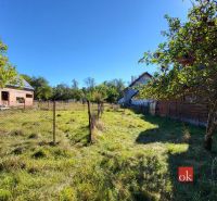 A garden with fruit trees near a family house in Žiar, surrounded by a fence.