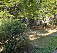 Greenery and trees on Súťažná Street, Bratislava - Ružinov, near a 2-room apartment.