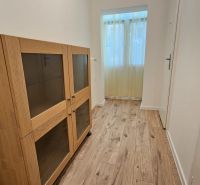 A narrow hallway with a display case, a wooden-patterned floor, and a large window in a two-room apartment.