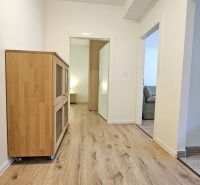 A hallway in a 2-room apartment with a wooden decor floor and a cabinet on wheels.