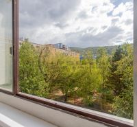 Windows of a 3-room apartment with a view of trees and apartment buildings in Bratislava - Devínska Nová Ves on Eisnerova.