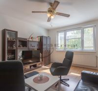 Living room in a three-room apartment with a wooden decor floor and a ceiling fan.