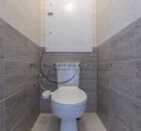 A toilet in a 3-room apartment with wood-patterned tiles.