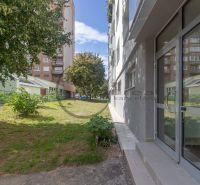 Apartment building in Devínska Nová Ves on Eisnerova Street, Bratislava, with a grassy area and trees.