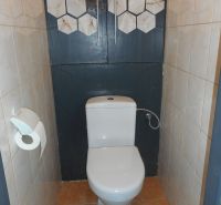 Bathroom with toilet and dark cabinets in a 2-room apartment.