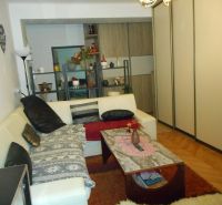 Living room in a 2-room apartment with a sofa, coffee table, and wooden decor flooring.