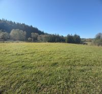 Plots - housing in Podvysoká, flat grassy area surrounded by trees with a clear sky.