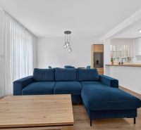 Blue sofa and wooden decor floor in the living room of a family house.