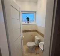 A toilet with a sink, decorative tiles, and a plant in a 3-room apartment.