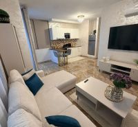 Living room in a 3-room apartment with a comfortable sofa and a kitchenette.