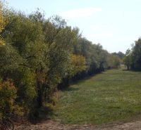 A view of a green meadow surrounded by trees at the Recreational Grounds in Martovce.