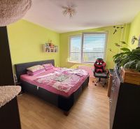 Bedroom in a 2-room apartment with wood-patterned flooring and a comfortable bed.