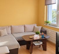 Living room with a sofa, table, and wooden decor flooring in a 2-room apartment.