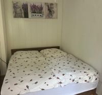 Bedroom with a double bed in a 3-room apartment, floor with wood decor, hanging chandelier.