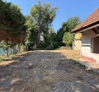 The yard of the family house on St. Florian Square in Krakovany surrounded by greenery and trees.