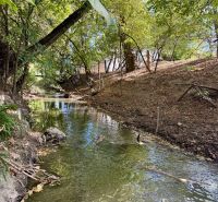 A forest stream surrounded by trees and greenery in the shade.