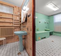 Bathroom in a family house with green tiles and a blue sink, retro design.