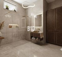 A bathroom in a family house with large cabinets and a mirror.