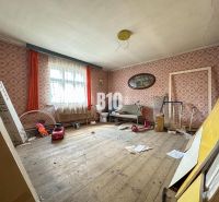 A room in a family house with retro wallpaper, a wooden decor floor, and toys.