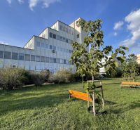 Offices on Záhradnícka Street in Komárno with benches and young trees.