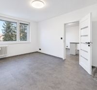 Spacious bright room in a 2-room apartment, with a large window and entrance door.
