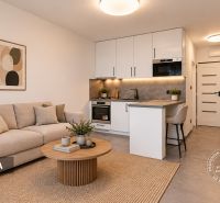 Living room in a 2-room apartment with a sofa, kitchenette, and wooden decor flooring.
