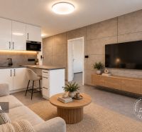 Living room in a two-room apartment with a kitchen, sofa, and TV on the wall.