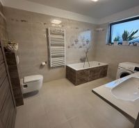 A bathroom in a family house with a bathtub, a sink, a washing machine, and decorative plants.