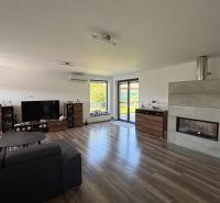 Living room in a family house with a sofa, television, fireplace, and wooden decor flooring.