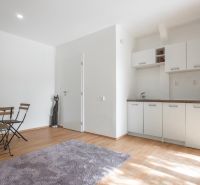Interior with a kitchen unit, white walls, and a floor with a wooden decor on recreational grounds.