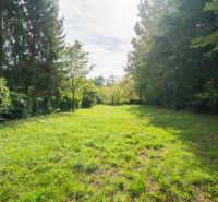 A green meadow surrounded by trees on recreational land in Bratislava - Devín.