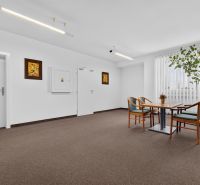 Offices with a desk and chairs, carpet, indoor plant, decorative paintings.