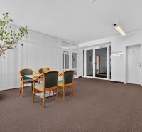 Trees and chairs create a relaxed space in offices.