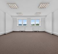 A spacious office with windows and carpeted flooring, lighting, and neutral walls.