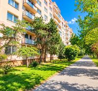 The apartment building on Rumančekova Street in Bratislava - Ružinov, surrounded by greenery and trees.