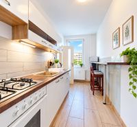 A kitchen in a 3-room apartment with a cooktop, counter, and plants.