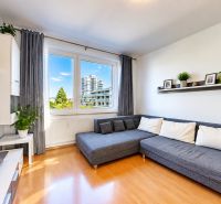 Living room in a 3-room apartment with a large sofa, television, and plants on a floor with wooden decor.