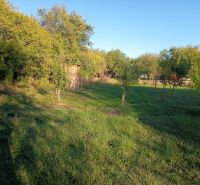 Gardens in Zlaté Moravce on Tatranská 201 with young trees and a wooden shed.