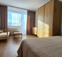A room with a large window, a couch, a bed, a wardrobe, and a floor with a wooden decor in a studio apartment.