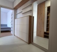 Interior with wood-patterned flooring and a mirror in a studio apartment.