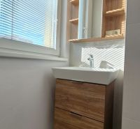 A bathroom with a sink and a cabinet with a wooden decor in a studio apartment.