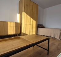 Interior of a 1-room apartment with a bed, wooden furniture, and a floor with a wood decor.