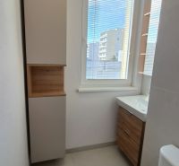 Bathroom in a studio apartment with an elegant cabinet and a view through the window.