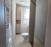 Bathroom with a shower, toilet, and modern radiator in a studio apartment.